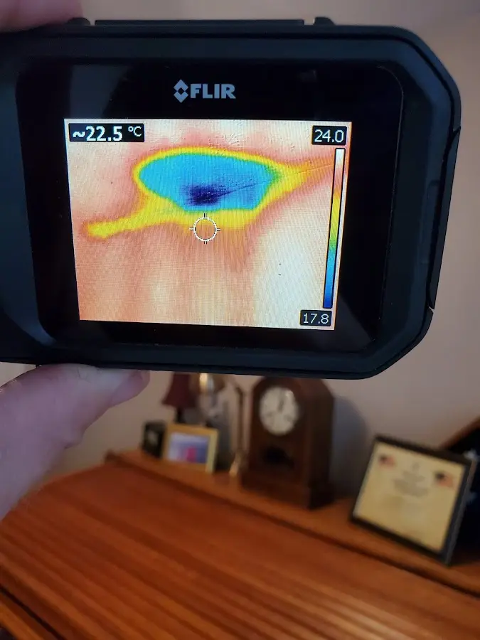 Thermal imaging inspection for water damage in Wayne
